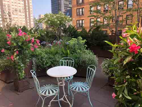 Manhattan Rooftop Garden Seasonal Display: Summer